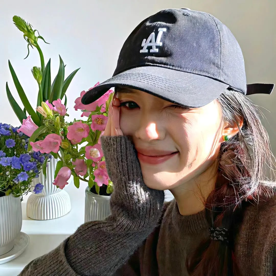 公主请回家